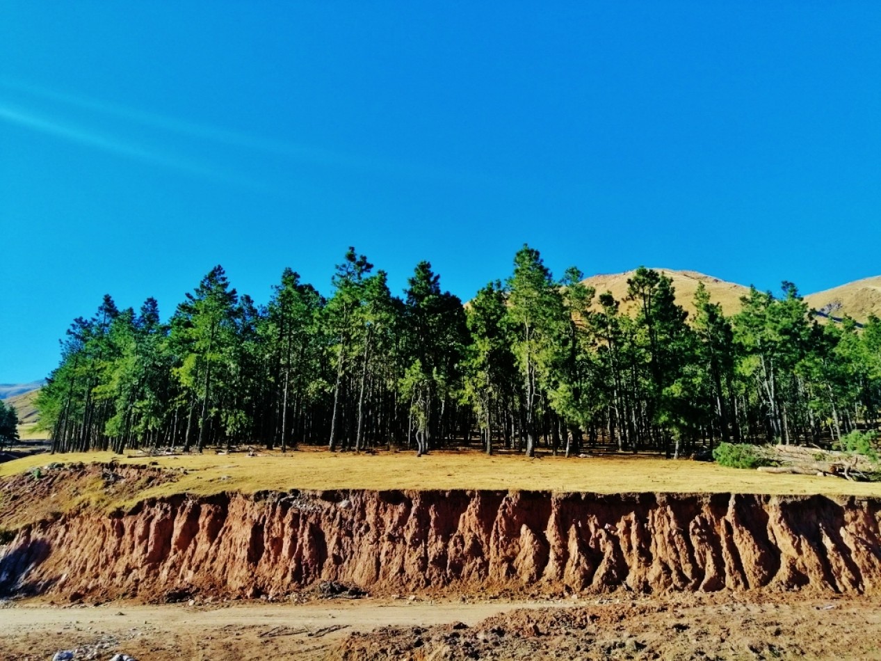 VENTA LOTES EN EL PINAR TAFI DEL VALLE