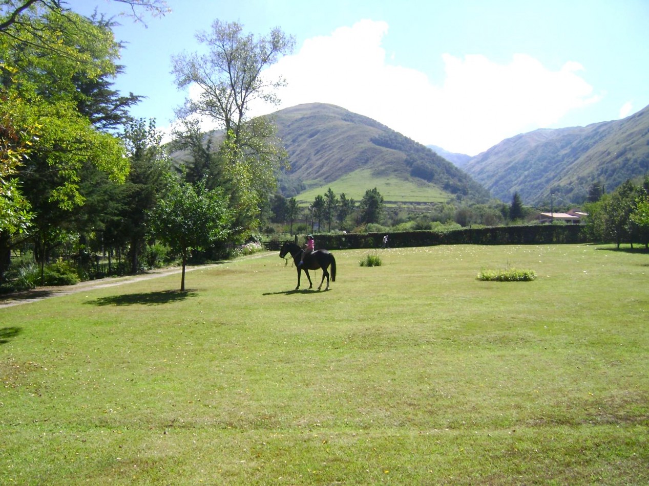 HERMOSA CASA EN VENTA LA QEBRADITA TAFI DEL VALLE / PRECIO DE TASACION USD271.000 / PRECIO DE VTA: OPORTURNIDAD USD250.000