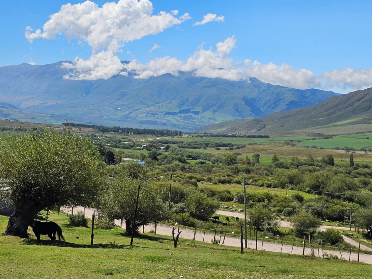 TERRENO EN VENTA 1.073 M2 TAFI DEL VALLE, LAS CARRERAS