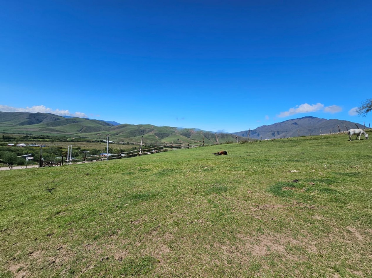 TERRENO EN VENTA 1.073 M2 TAFI DEL VALLE, LAS CARRERAS