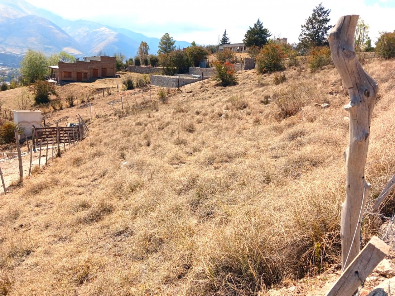 TERRENO EN VENTA 700 M2 TAFI DEL VALLE CERRO EL PELAO