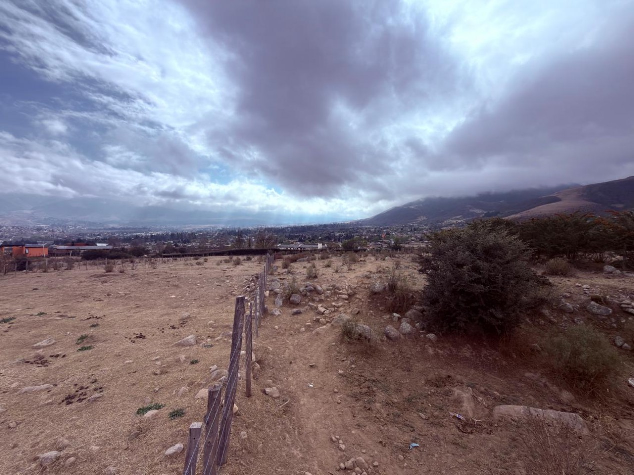 TERRENO EN VENTA 2300 M2 CON ESCRITURA A METROS DE AVENIDA LOLA MORA