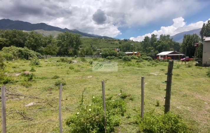 VENTA TERRENO 1000 M2 TAFI DEL VALLE LA OVEJERIA