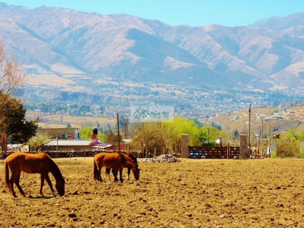 Lote En Venta De 1000 M2 Ubicado En Tafi Del Valle