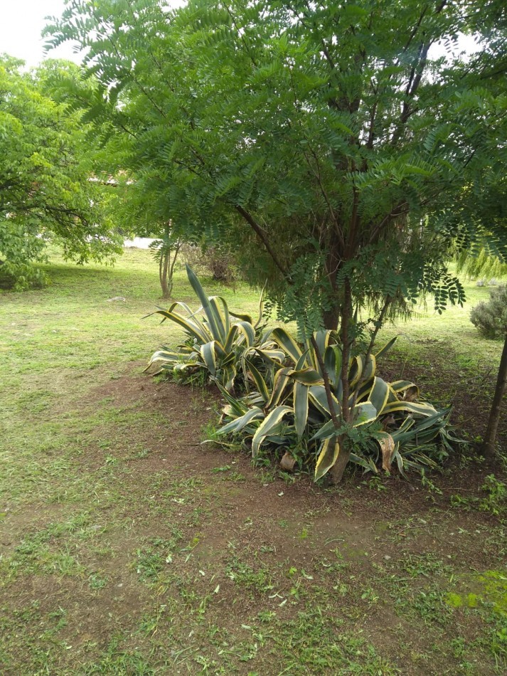 VENTA CASA EL MOLLAR TAFI DEL VALLE CON ESCRITURA