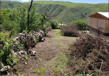 VENTA TERRENO POTRERILLOS 300 M2, EL MOLLAR, TAFI DEL VALLE 